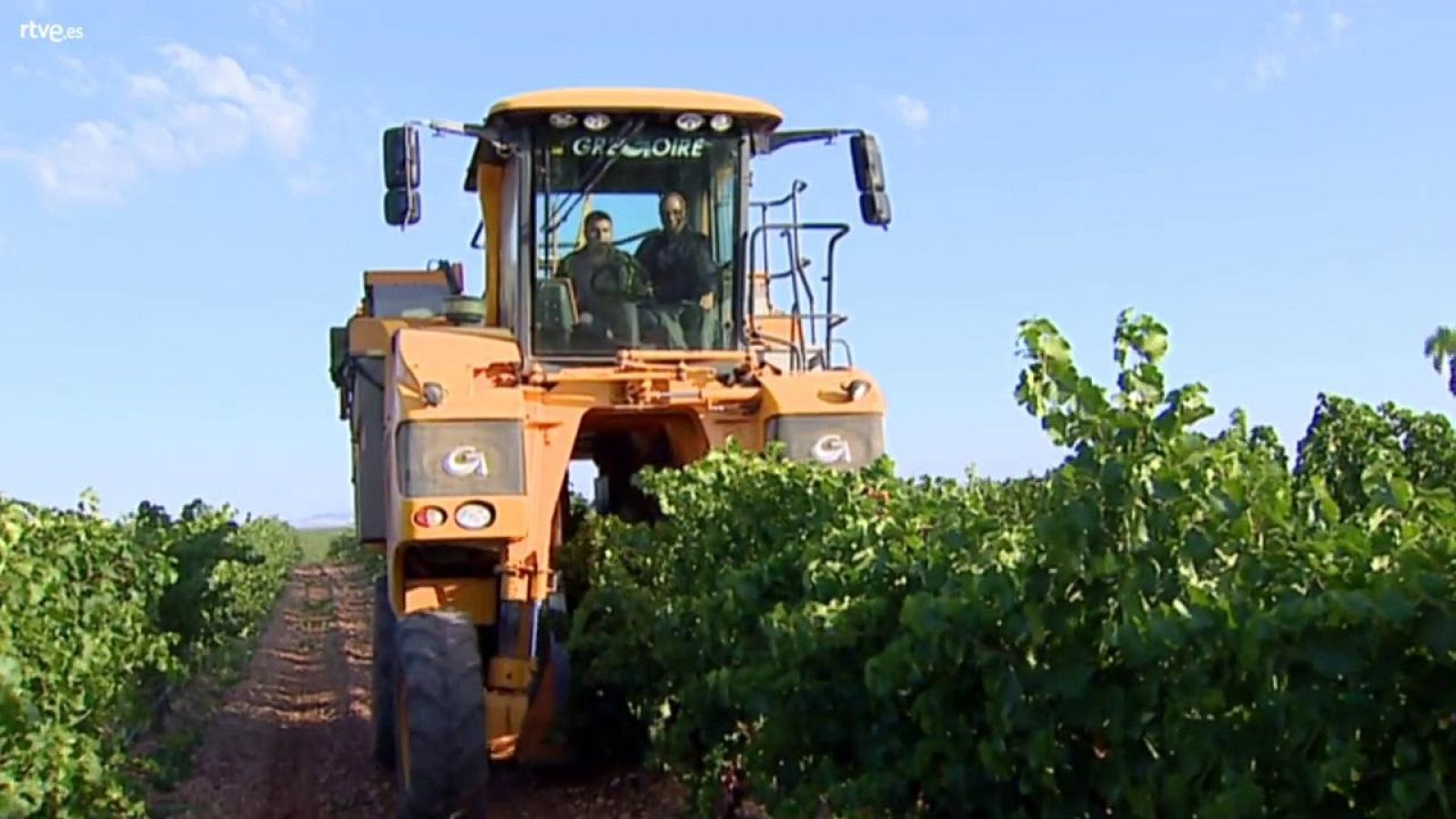 Agrosfera - 19/09/20 - ver ahora