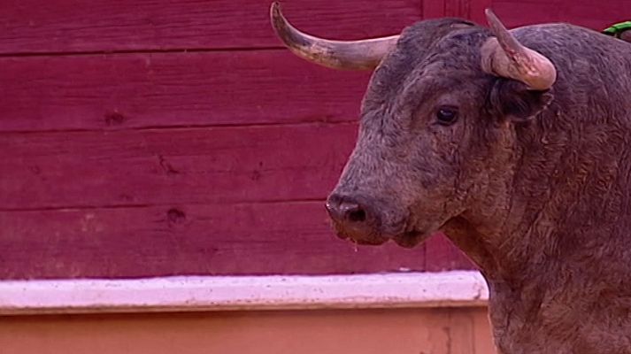 Tendido cero - Tendido cero - 19/09/20