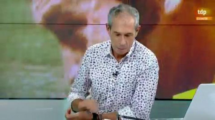 Tour de Francia - Tour 2020 | Perfil de la etapa 21, el paseo con homenaje hasta París