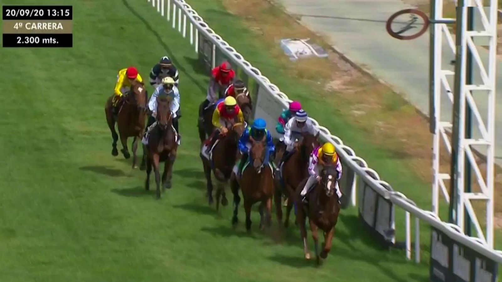 Hípica - Circuito de carreras de caballos desde el Hipódromo de La Zarzuela (Madrid) - ver ahora