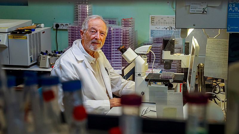 La vacuna contra la COVID-19 del CSIC será "muy segura" y de "respuesta inmune de alto nivel", pero no estará hasta finales de 2021