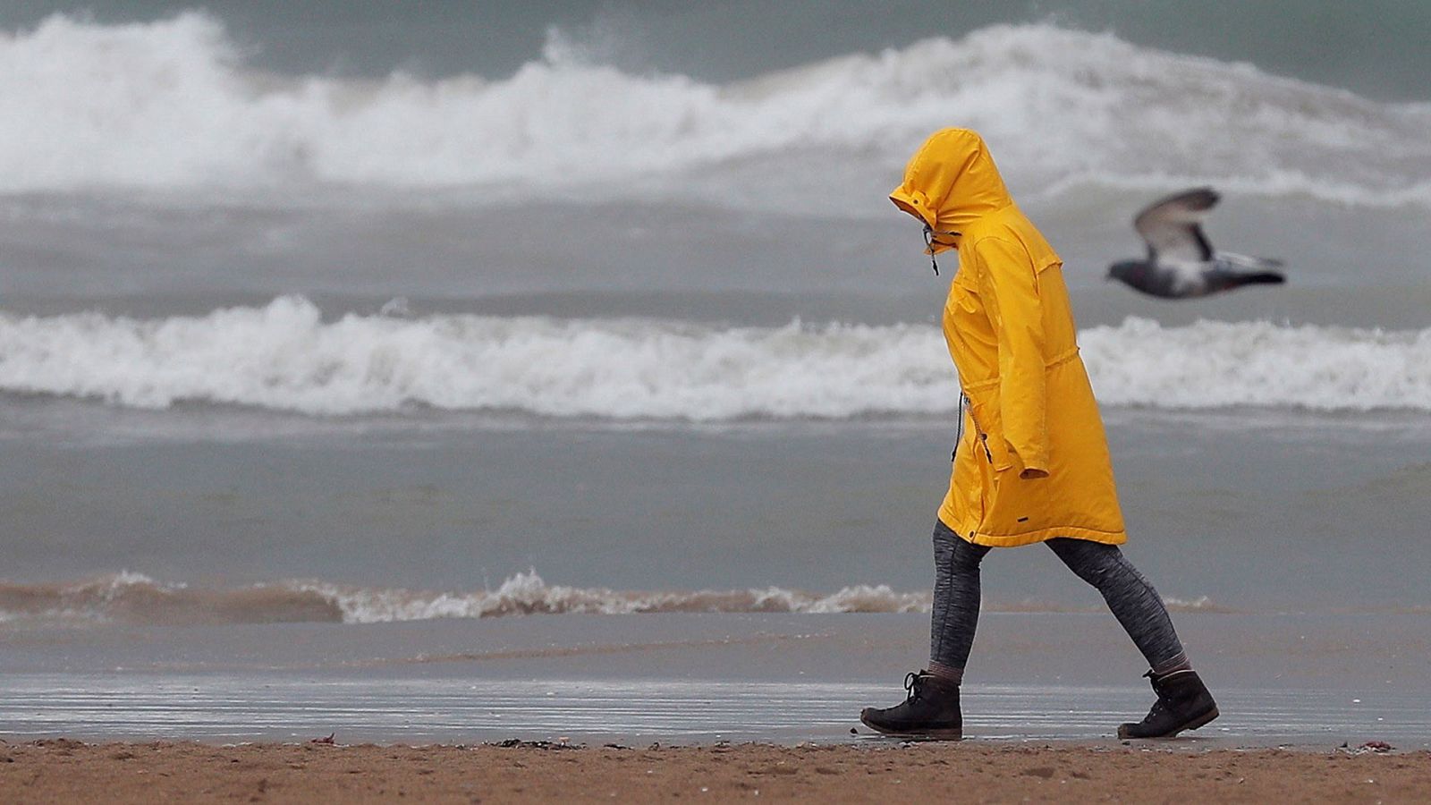 Precipitaciones que podrían ser persistentes en el Cantábrico oriental - Ver ahora
