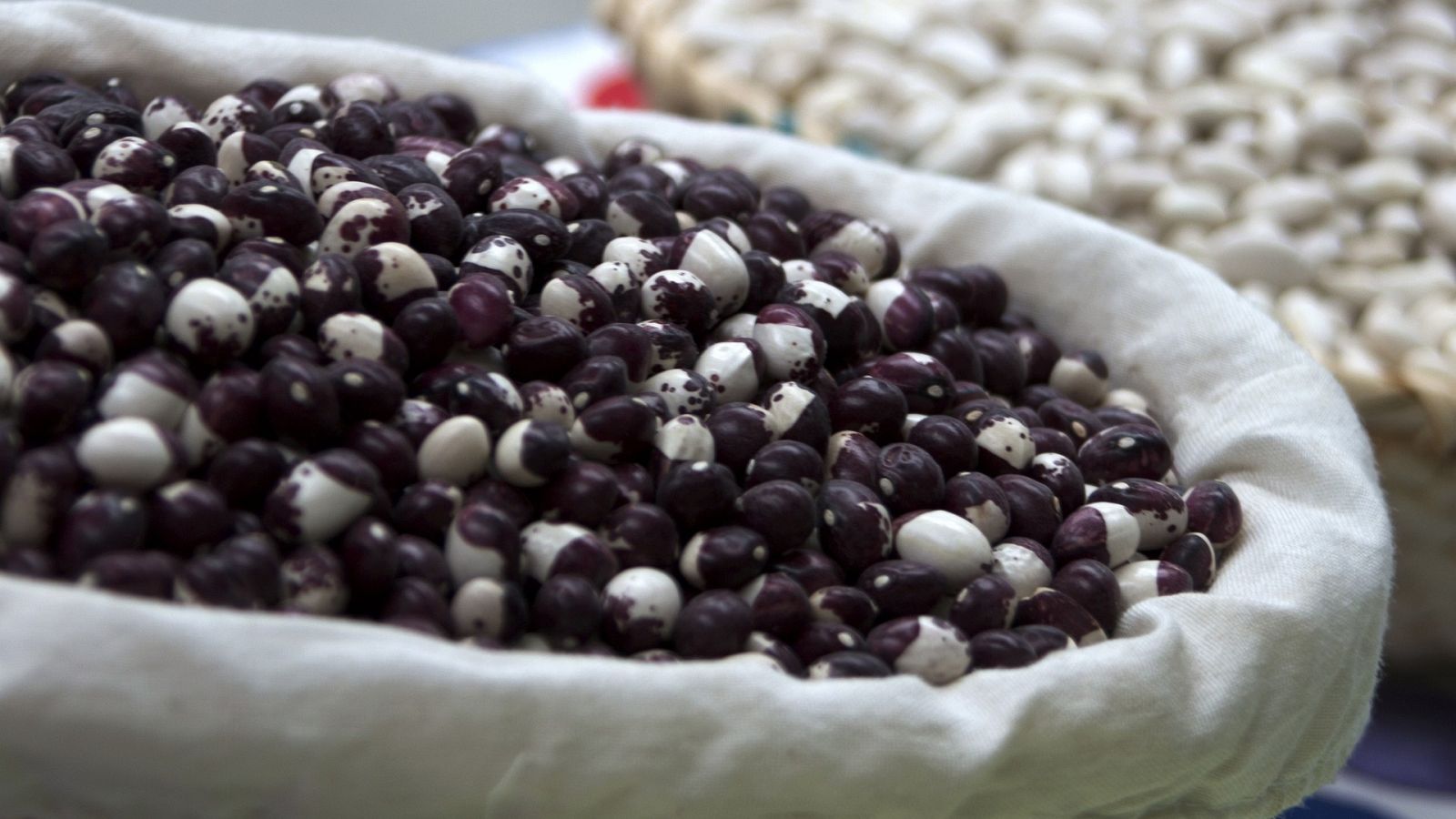 Sergio Fernández nos cuenta cómo sacarle partido a este producto otoñal ¡Y puedes preparar un hummus de alubia en un minuto! 