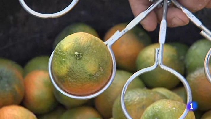 L'informatiu - Comunitat Valenciana - L'Informatiu - Comunitat Valenciana - 22/09/20