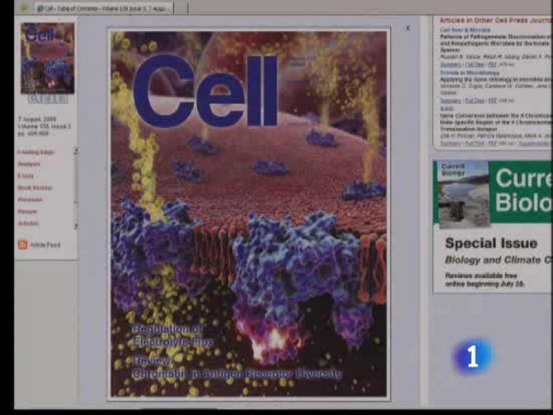 Avance en la lucha contra el cáncer 