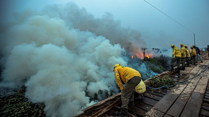 Telediario 1 - El Pantanal de Brasil, el mayor humedal del planeta, sufre los peores incendios de las últimas décadas