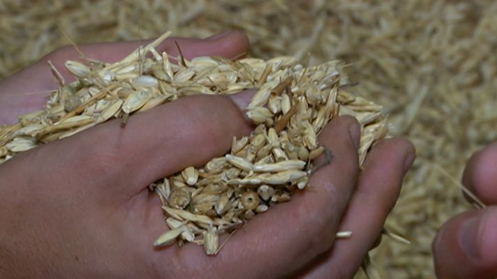 Aquí la Tierra - Aquí la Tierra - 24/09/20