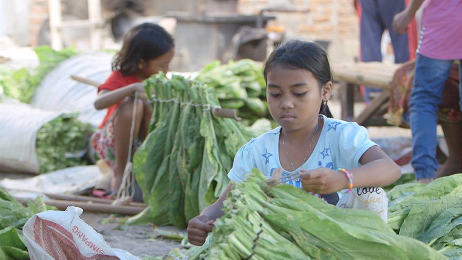 La noche temática - Los niños de la nicotina - Ver ahora