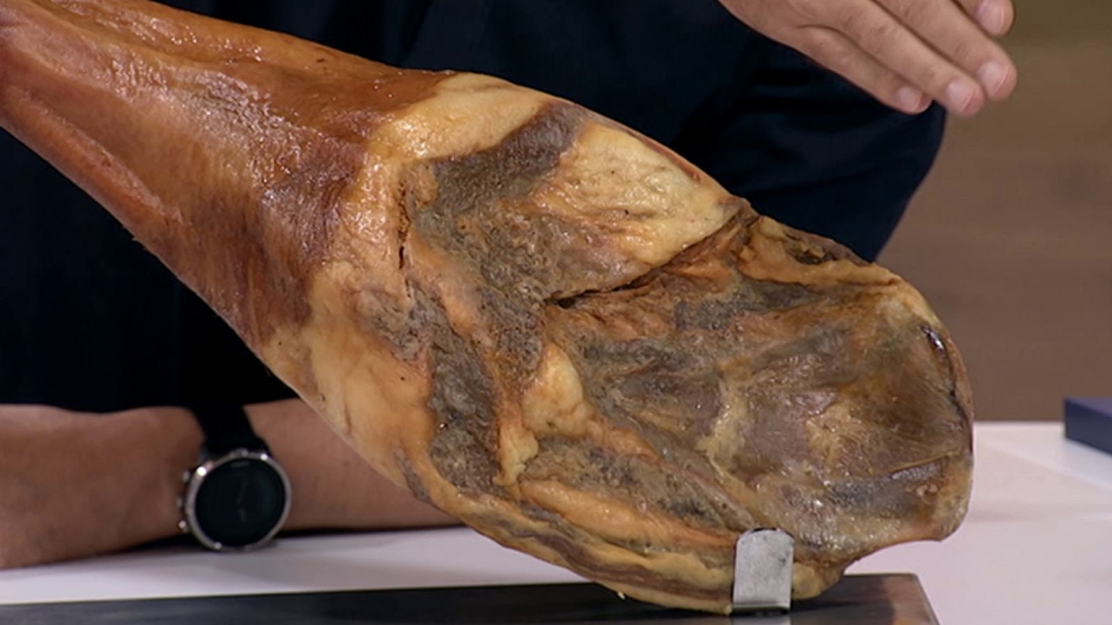 Como Sapiens - Programa 1 - ver ahora