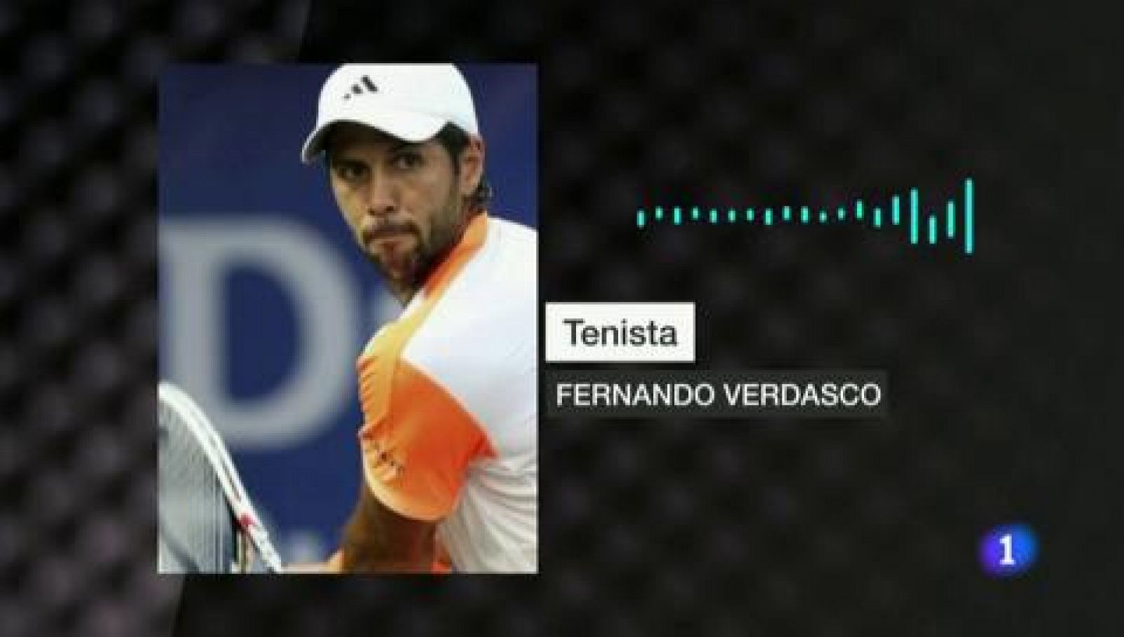 Tenis | Verdasco, perjudicado Roland Garros tras una prueba PCR