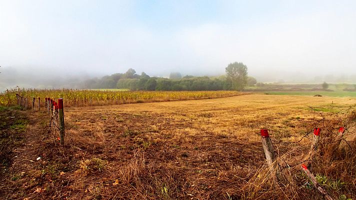 El tiempo - Brumas matinales en el área mediterránea
