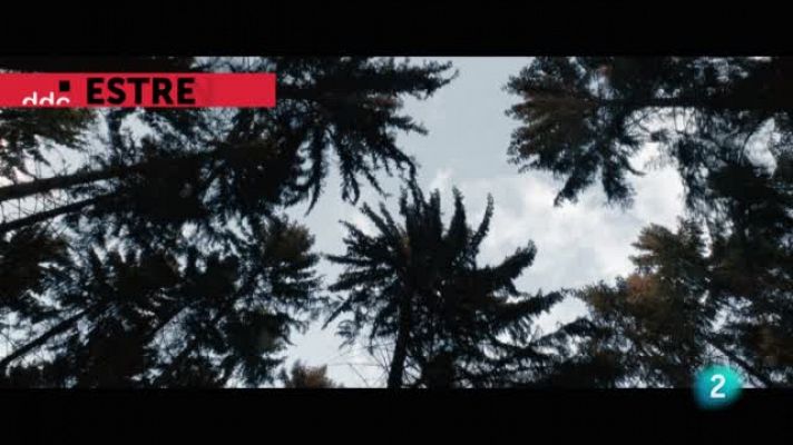 Días de cine - 'La habitación'