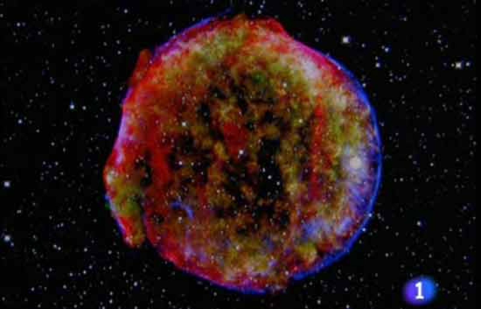 Hijos de las estrellas