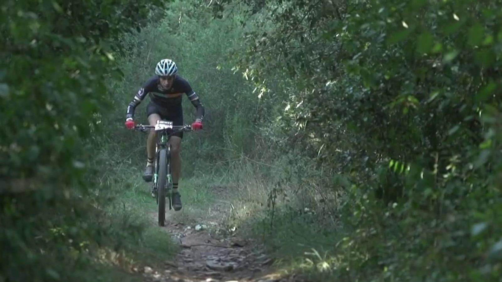 Mountain Bike - Sea Otter Europe - ver ahora
