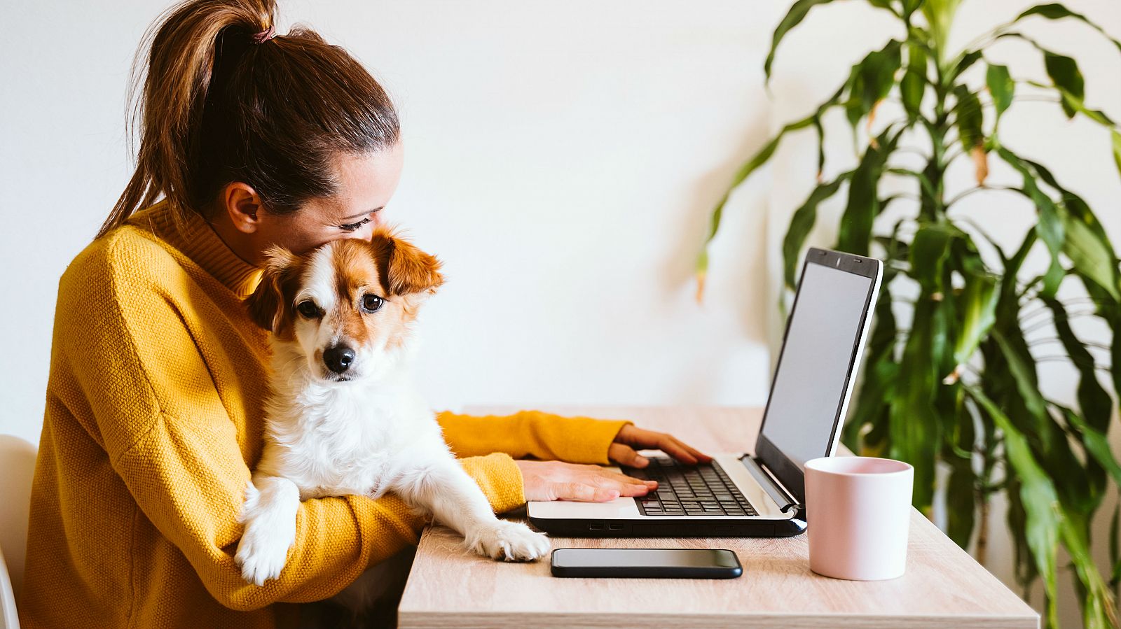 El impacto que el teletrabajo tiene para las mascotas - RTVE.es