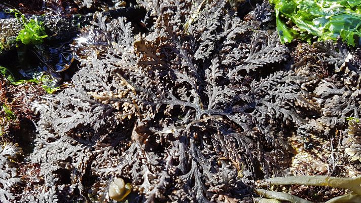 Modo Digital - Entrevista Jesus Troncoso