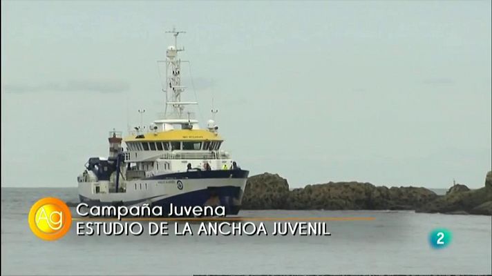 JUVENA 