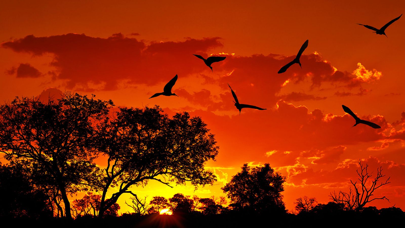 Paraísos cercanos - Sudáfrica, el país del arco iris - ver ahora