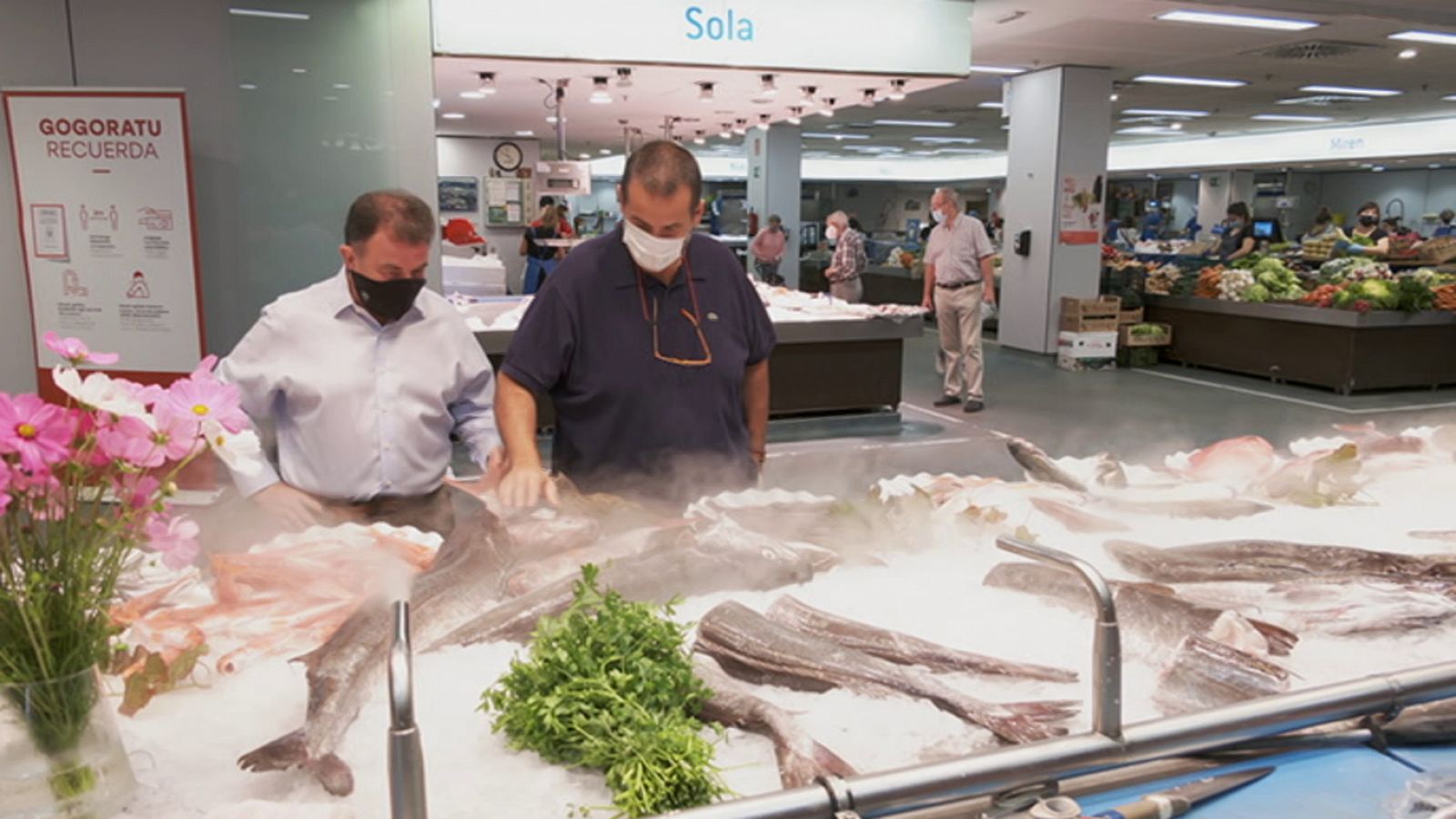 Como Sapiens - Programa 6: El monte y las sardinas - RTVE.es