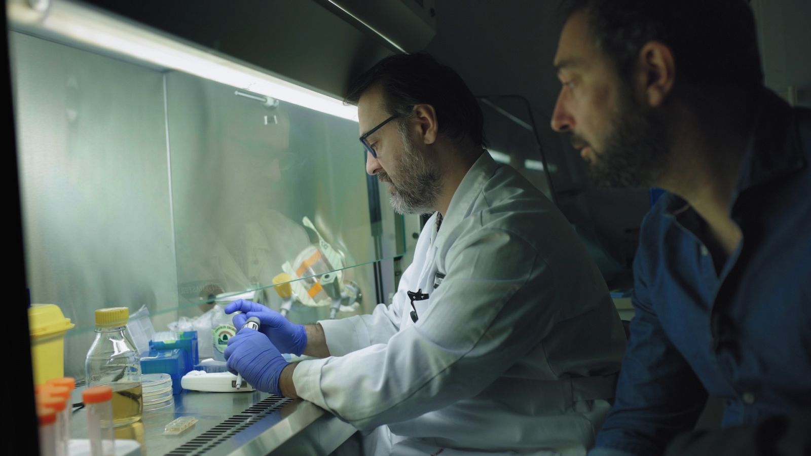 El cazador de cerebros - Las pandemias que vienen - ver ahora