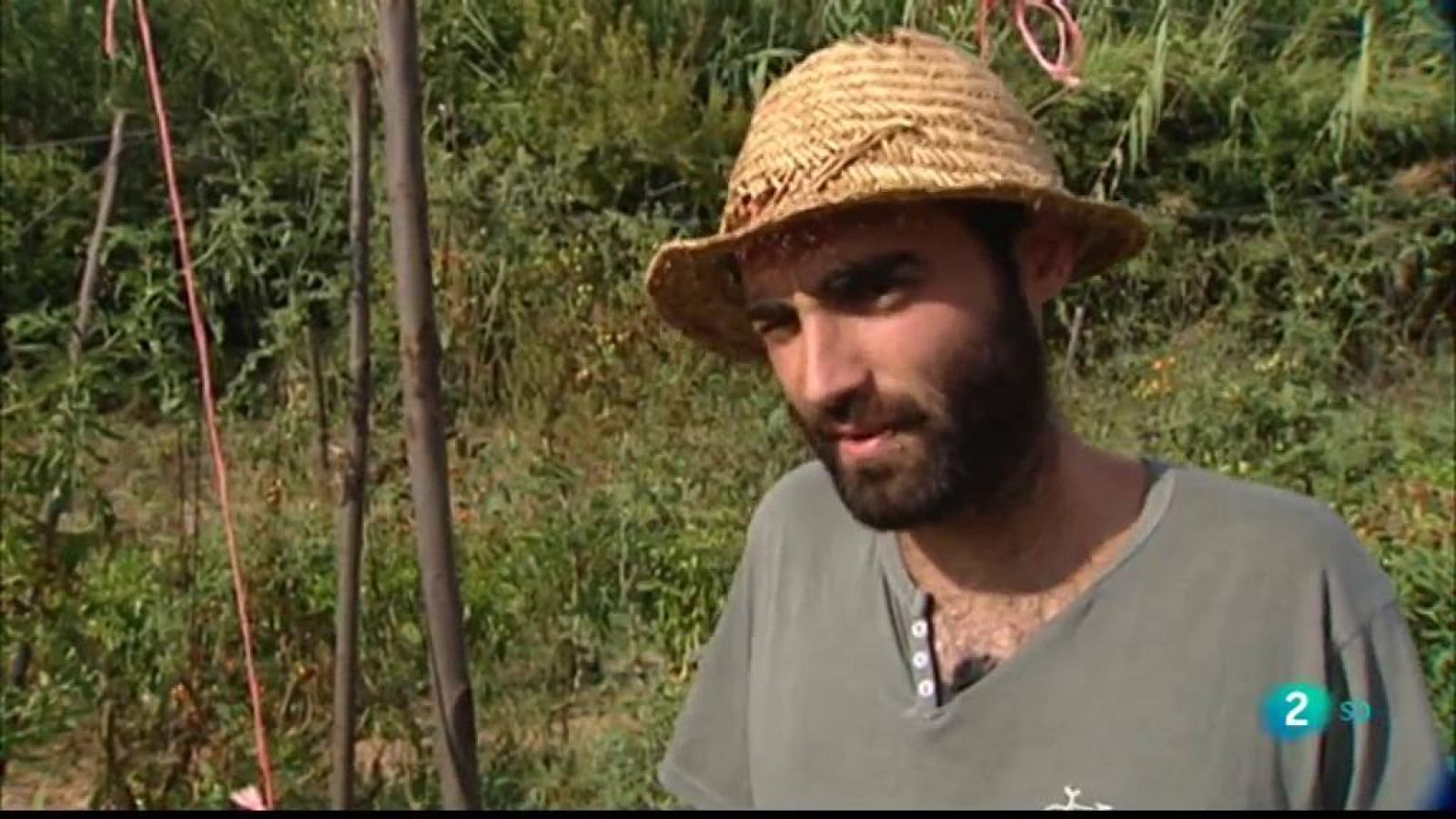 La Metro. Actualitat de la Regió Metropolitana de Barcelona