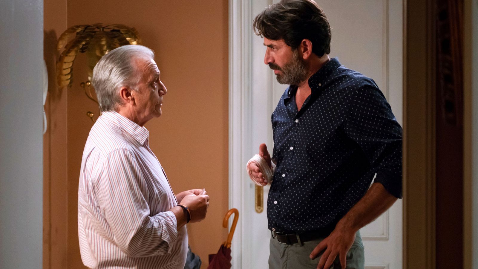 Mercado central - Capítulo 247 - ver ahora