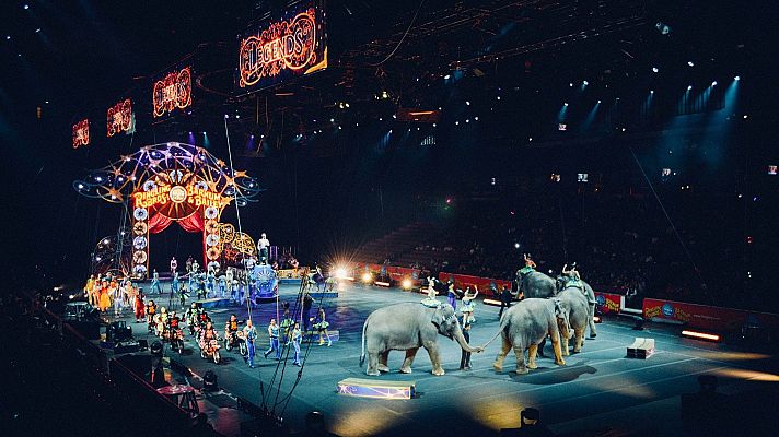 Atrapados en el circo