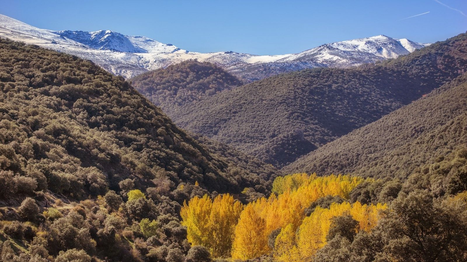 Primeras nevadas de Sierra Nevada