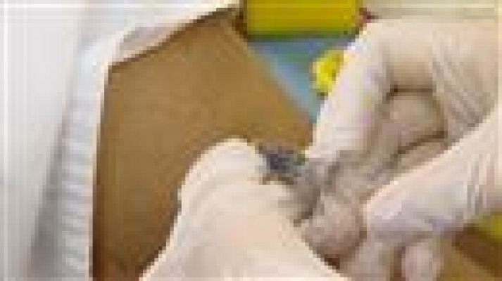 Telecanarias - Telecanarias - 07/10/2020