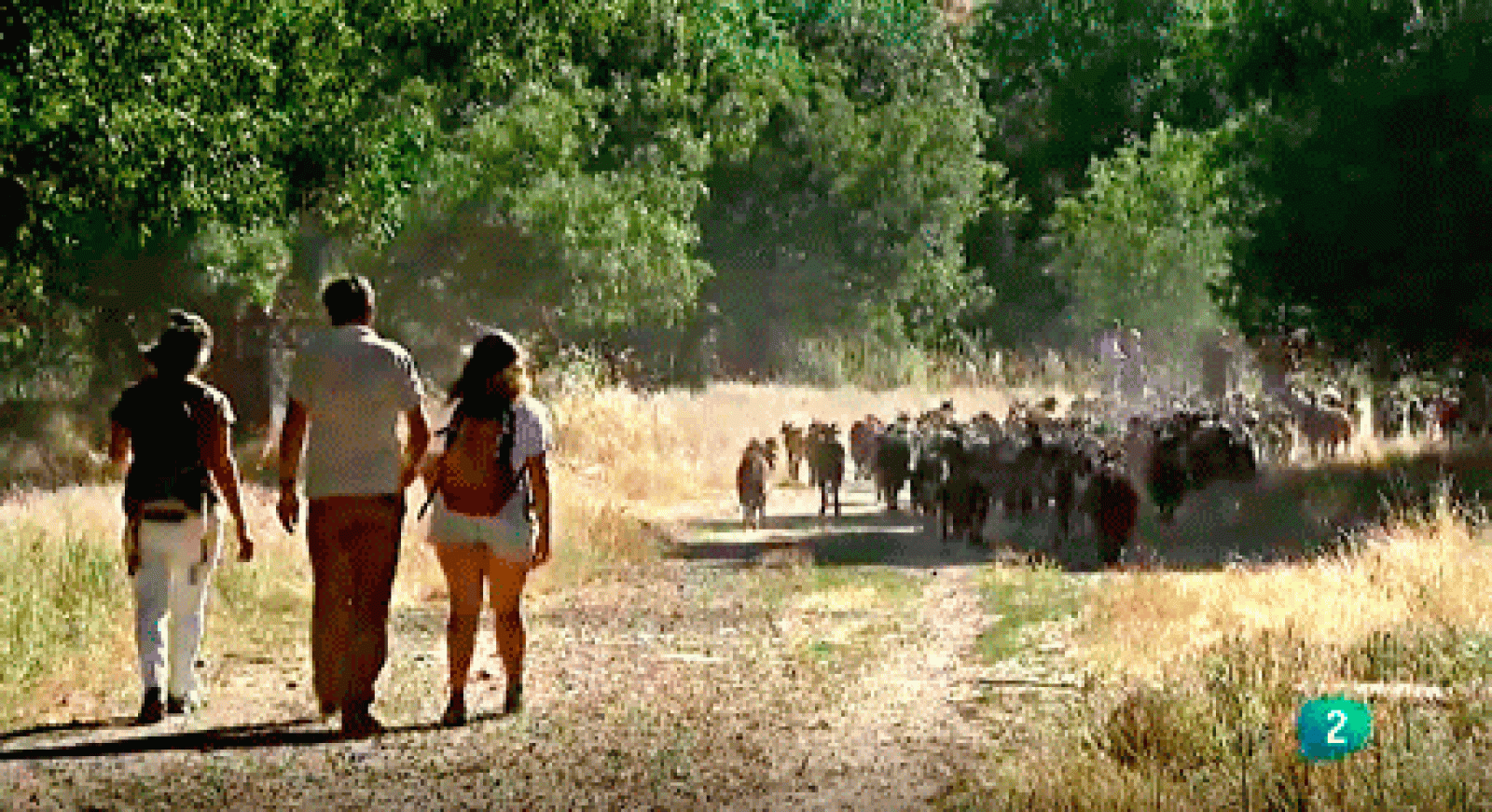 La aventura del saber Escuela pastores Campo Adentro
