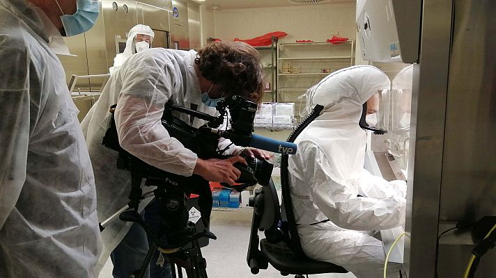 Crónicas - Virus, amenaza permanente - ver ahora