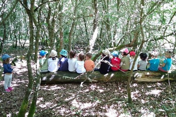 Las Escuelas Bosque, aprender en la naturaleza