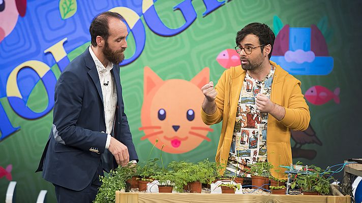 Biología con Ricardo Moure - Las plantas sienten