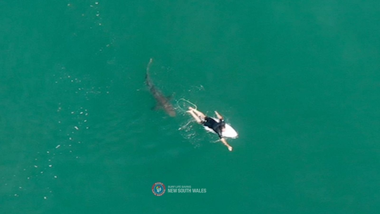Un dron avisa de la presencia de tiburones a los surfistas en Australia