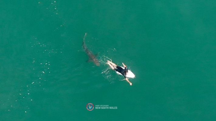 Telediario 1 - Un dron avisa de la presencia de tiburones a los surfistas en Australia