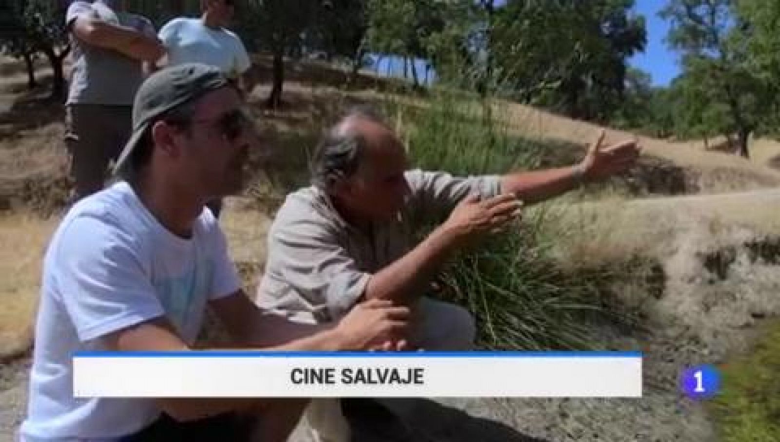 Telediario 1: 'Dehesa, el bosque del lince ibérico': el último largometraje documental de Joaquín Gutierrez Acha sobre la naturaleza española | RTVE Play