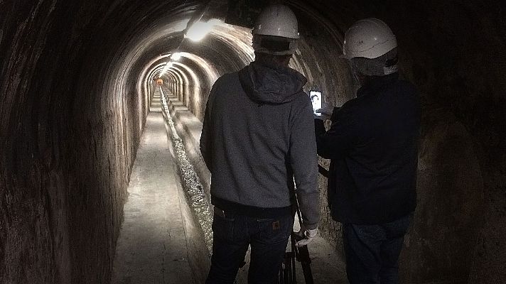 El escarabajo verde - Detritus antrópicus (parte 2)