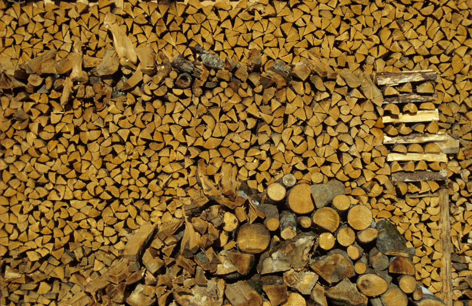 Aquí la Tierra - En Pedrún de Torío nos enseñan la tradición de marcar las suertes