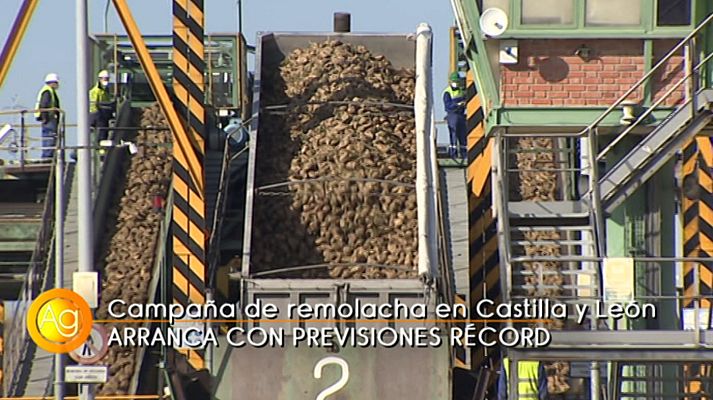 Agrosfera - Agrosfera - 10/10/20