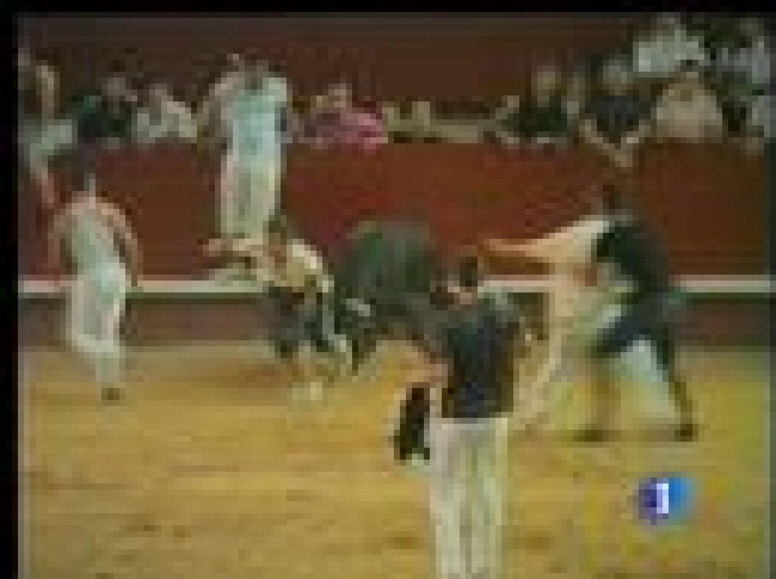 Los festejos taurinos han dejado este fin de semana un balance trágico | Ver