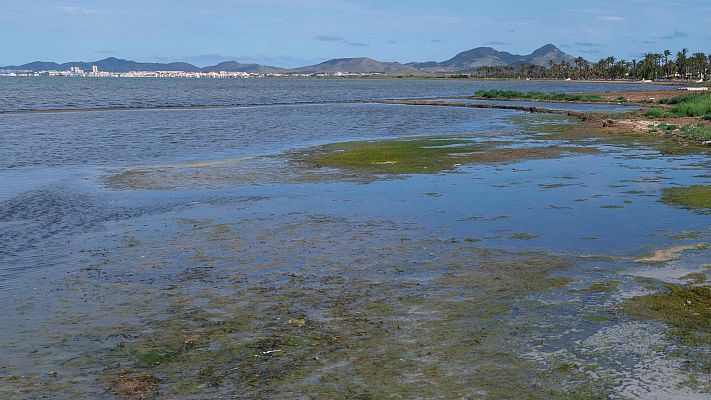 Telediario 1 - El Mar Menor, un año después de su mayor tragedia ambiental