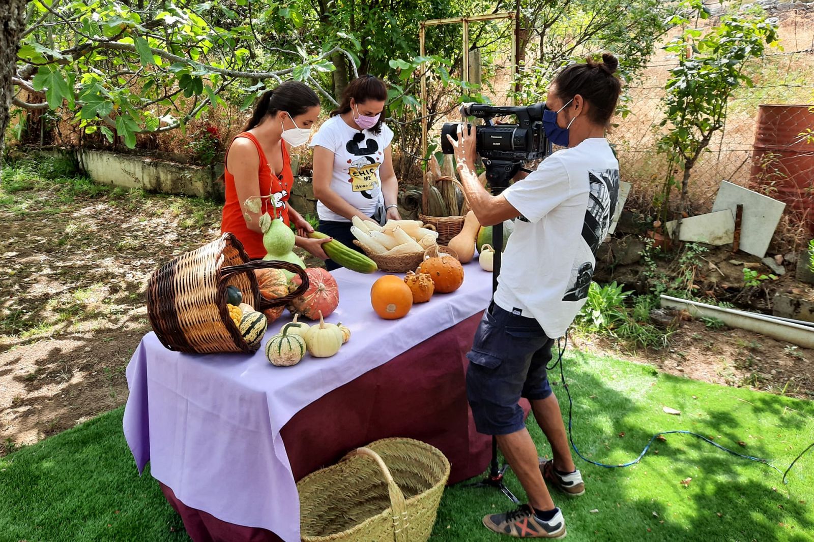 Calabazas turbantes, calabazas esponjas... variedades infinitas