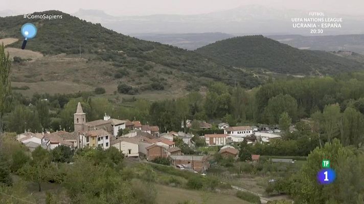 Pincho de judías verdes ahumadas al sarmiento de Echapreseto