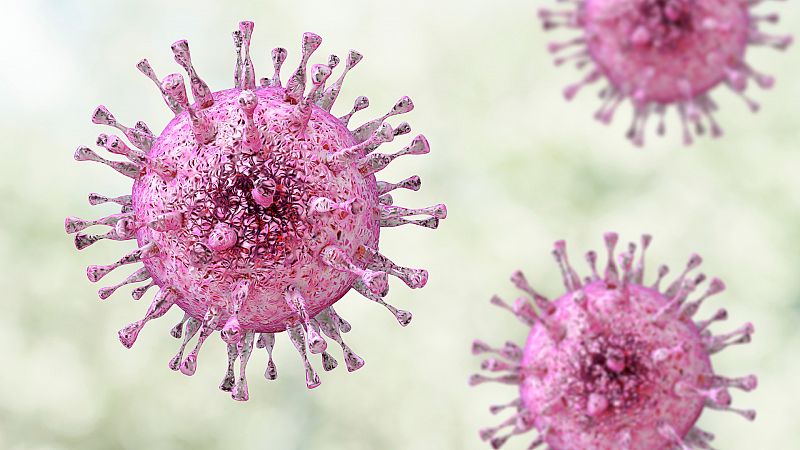 ¿Qué es el citomegalovirus? Te lo explicamos