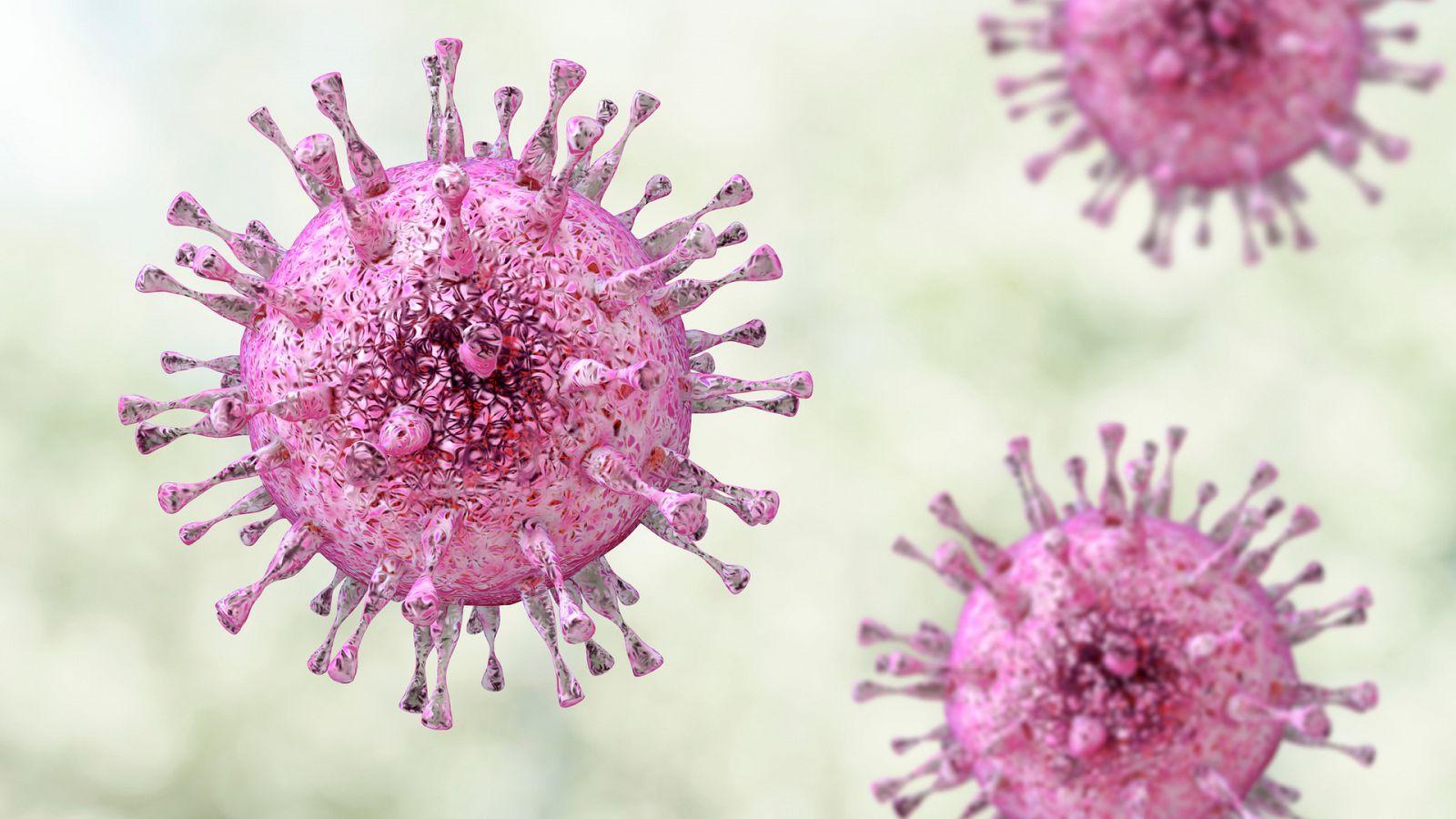 ¿Qué es el citomegalovirus? Te lo explicamos