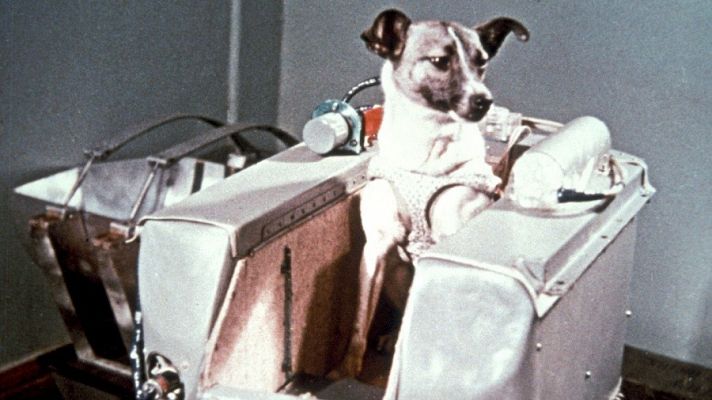 Aquellos perros astronautas rusos