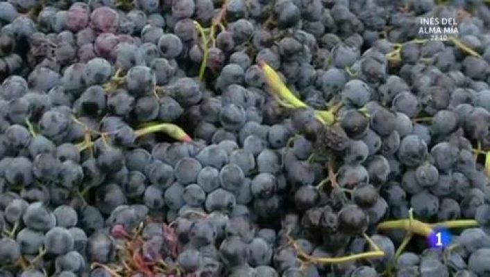 ¿Cómo se produce el vino?