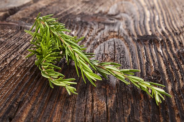 Aquí la Tierra - Romero bueno, romero bueno, saca lo malo y tráeme lo bueno