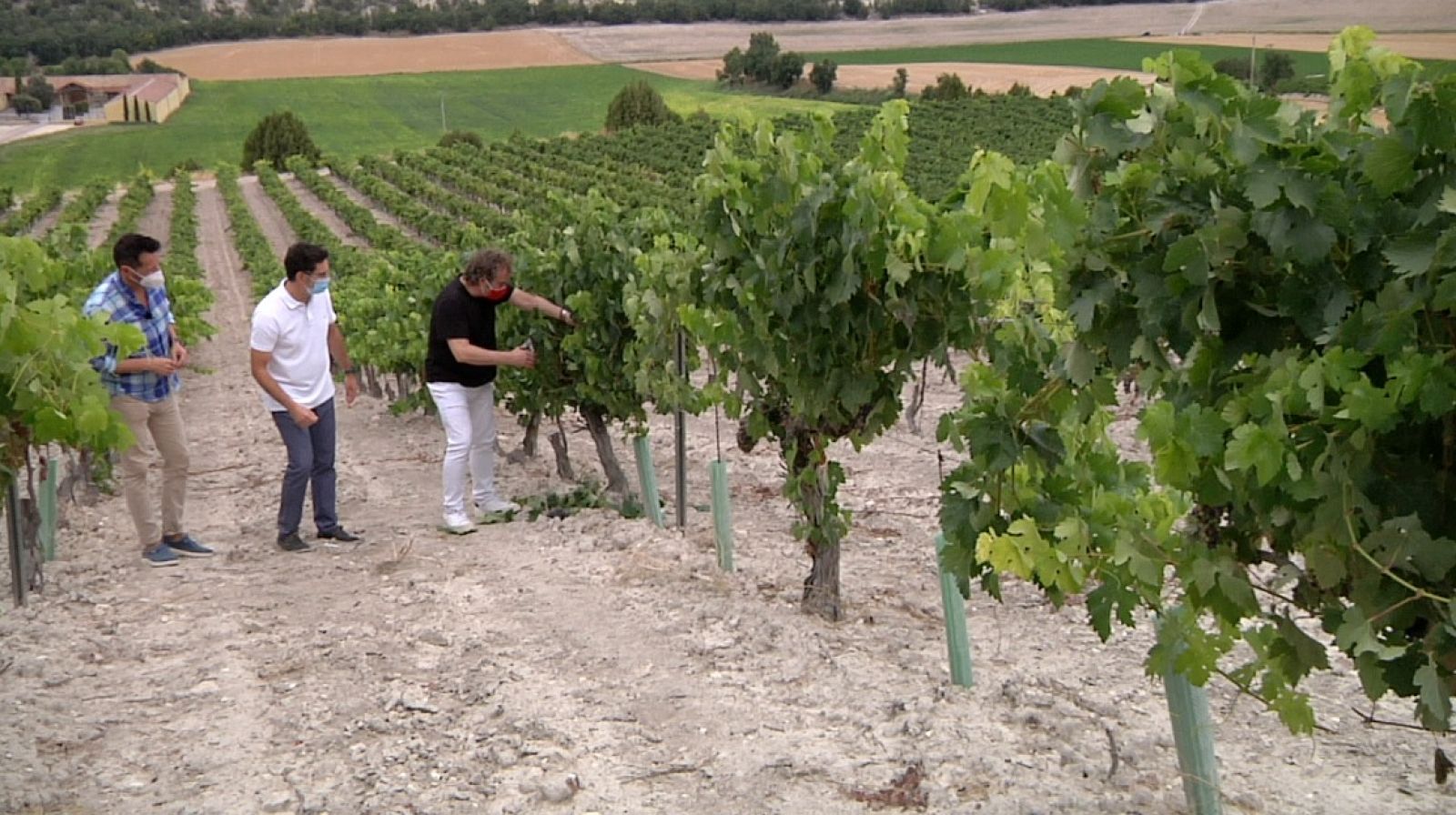 Con Fernando Cayo por Valbuena de Duero