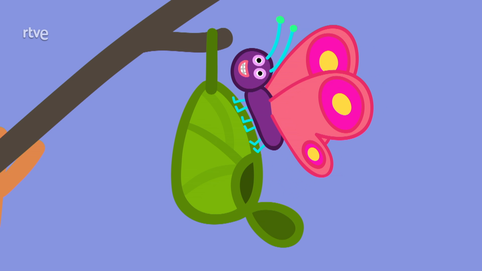 Peppa Pig - Mariposas - RTVE.es - Peppa Pig | Ver